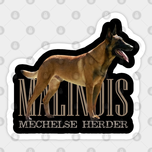 Malinois  - Belgian shepherd - Mechelaar Sticker by Nartissima